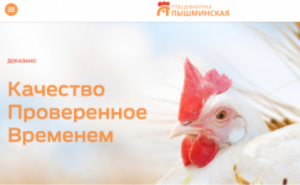 Газоснабжение объектов птицефабрики "Пышминская"